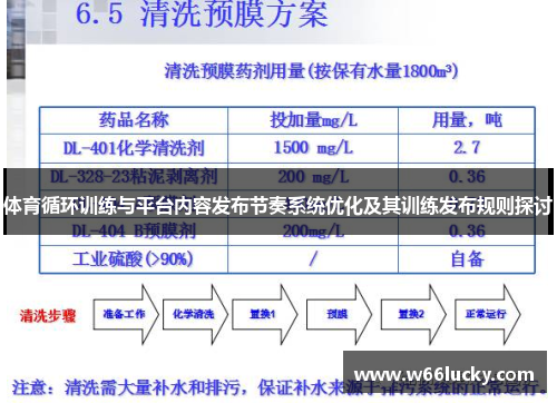 体育循环训练与平台内容发布节奏系统优化及其训练发布规则探讨