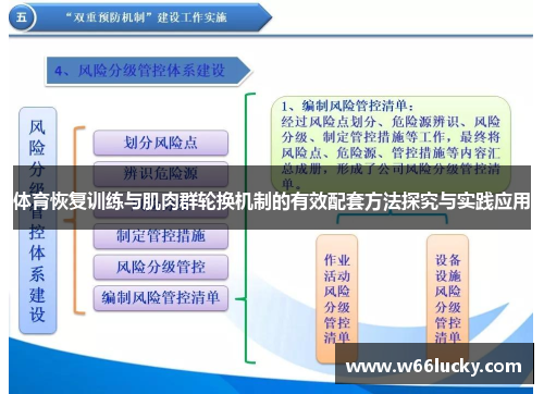 体育恢复训练与肌肉群轮换机制的有效配套方法探究与实践应用