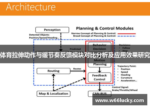 体育拉伸动作与缓节奏反馈模块对比分析及应用效果研究